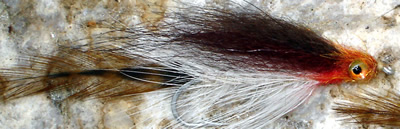 s2