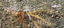 s9