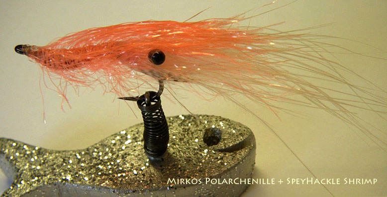 Polar Shrimp