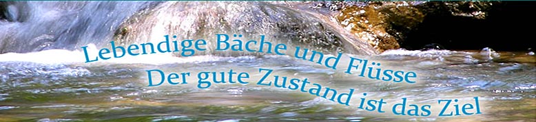 Salmonidenfreund
